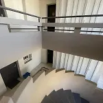 Frontignan 프롱티냥